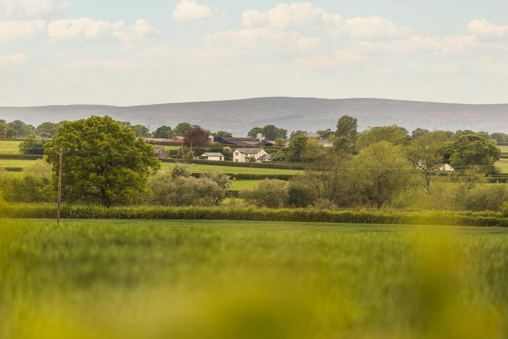 Mulsford Cottage Malpas  Zimmer foto